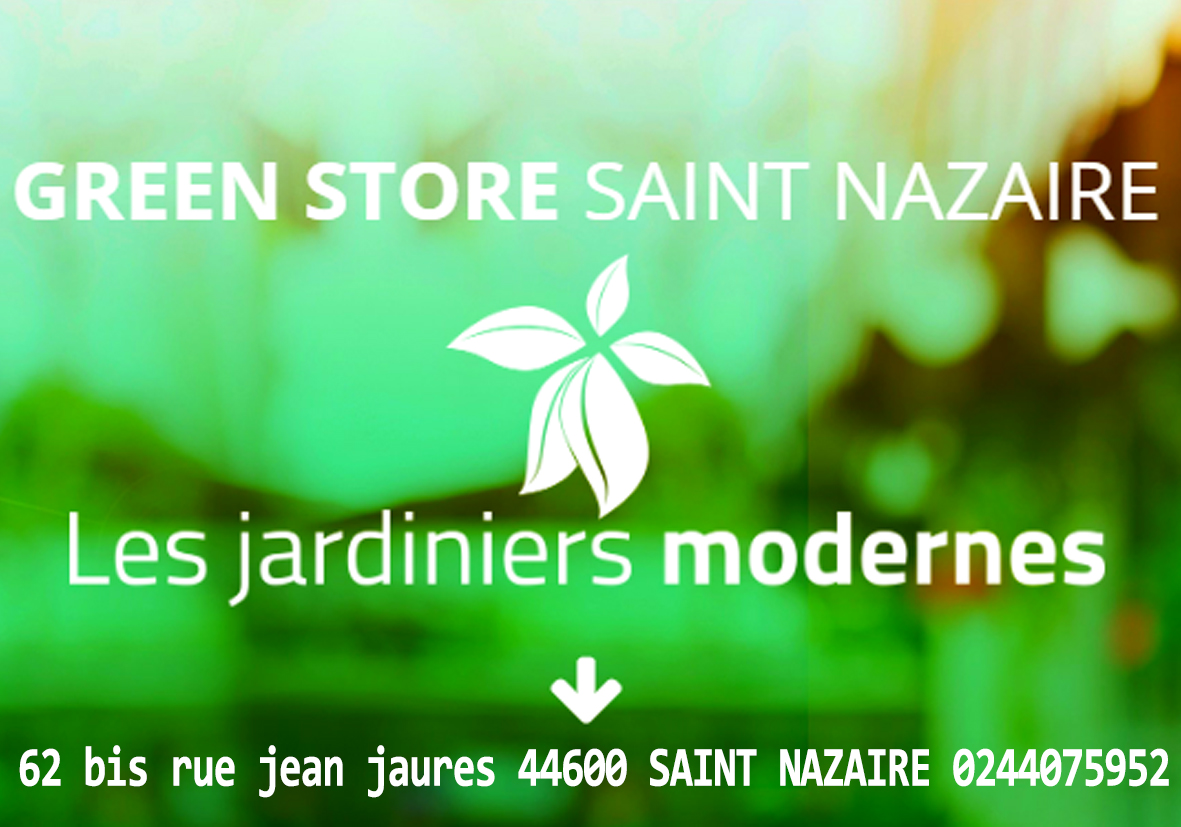 Logo green store
